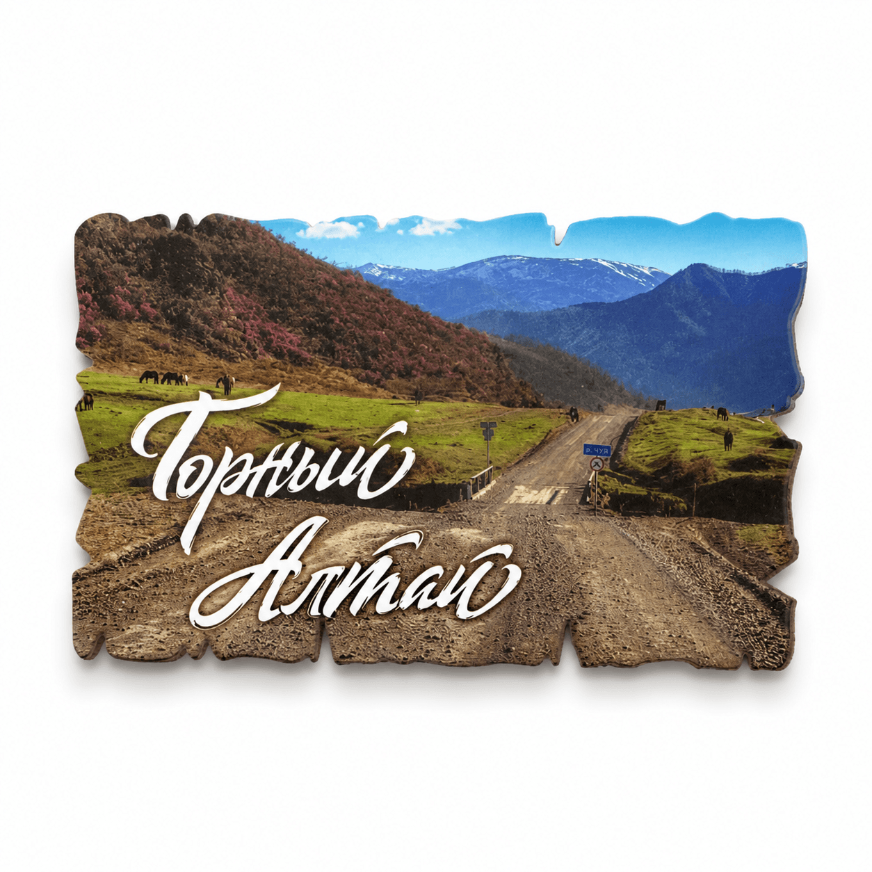 Магнит «Горный Алтай. Маральник устье реки Чоба»