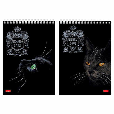 Блокнот А5 146х215 мм, 80 л., гребень, клетка, ламинация, 3D фольга, HATBER, "Royal Cats"